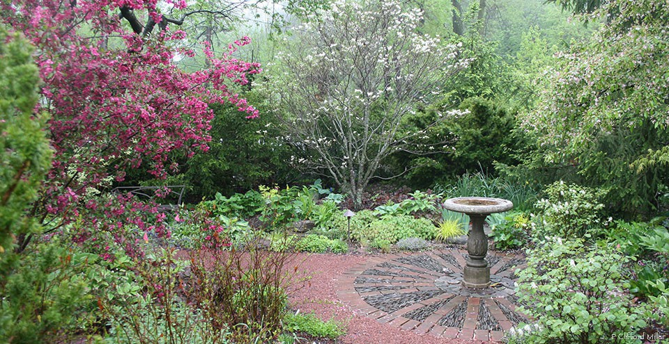 960x495_general_garden_6.10.2011_012