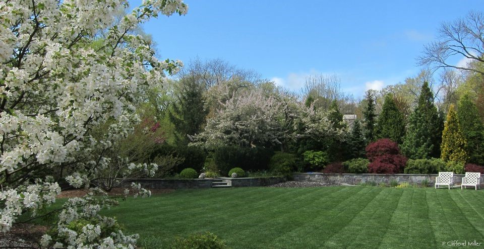 960x495_misc._rear_yard_4.20.12_005