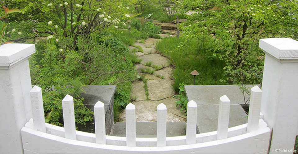 backyard 2.27.12 068-960x495