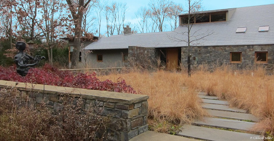 chandler_11.18.2010_013960x495-retouched