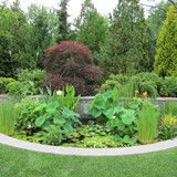 Hardscape Gallery 12