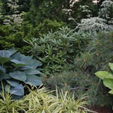 Hardscape Gallery 09