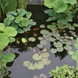 Hardscape Gallery 02