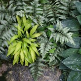 Hardscape Gallery 07