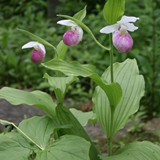 Hardscape Gallery 06