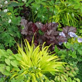 Hardscape Gallery 10