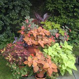 Hardscape Gallery 13