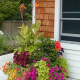 Hardscape Gallery 15