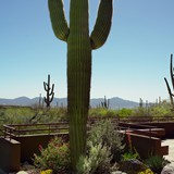 Hardscape Gallery 03