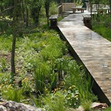 Hardscape Gallery 14