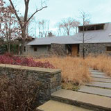 Naturalistic Gallery 13