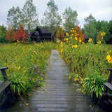 Naturalistic Gallery 14