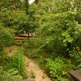 Naturalistic Gallery 15