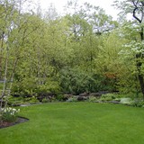 Naturalistic Gallery 01