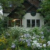 Naturalistic Gallery 03