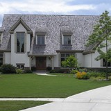 Naturalistic Gallery 04