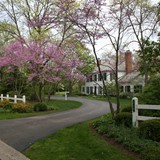 Naturalistic Gallery 06