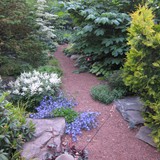 Naturalistic Gallery 10