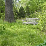 Naturalistic Gallery 07