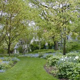 Naturalistic Gallery 09