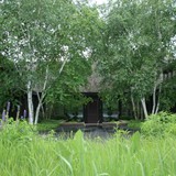 Naturalistic Gallery 11