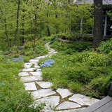 Naturalistic Gallery 12