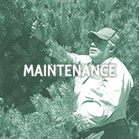 maintenance